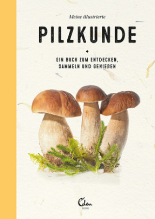 Kniha Meine illustrierte Pilzkunde Maartje van den Noort