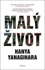Kniha Malý život Hanya Yanagihara