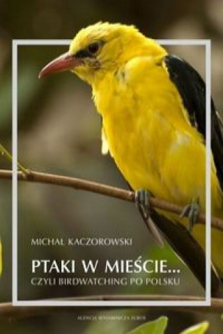 Książka Ptaki w mieście czyli birdwatching po polsku Kaczorowski Michał