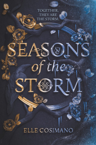 Buch Seasons of the Storm 