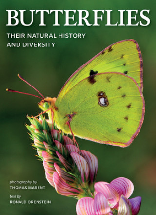 Knjiga Butterflies: Their Natural History and Diversity Thomas Marent