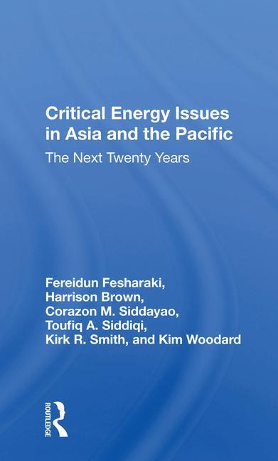 Kniha Critical Energy Issues In Asia And The Pacific Toufiq A. Siddiqi