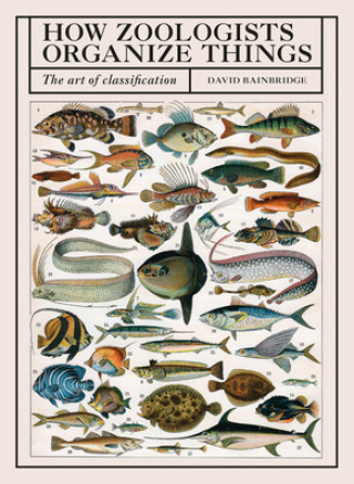 Книга How Zoologists Organize Things 