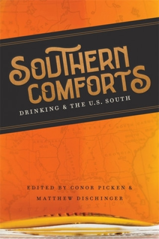 Libro Southern Comforts Matthew Dischinger