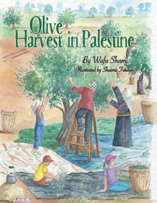 Könyv Olive Harvest in Palestine: A story of childhood memories Shaima Farouki