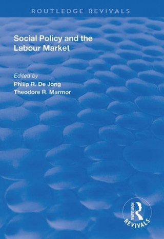 Kniha Social Policy and the Labour Market Philip R. de Jong