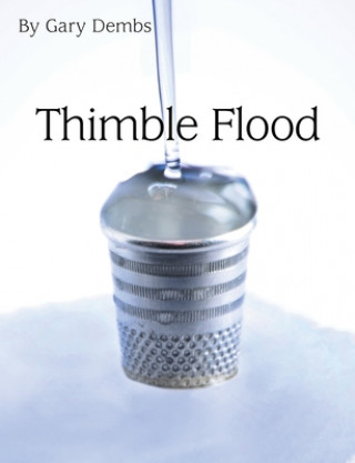 Knjiga Thimble Flood GARY DEMBS