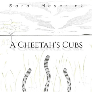 Buch Cheetah's Cubs Sarai Meyerink