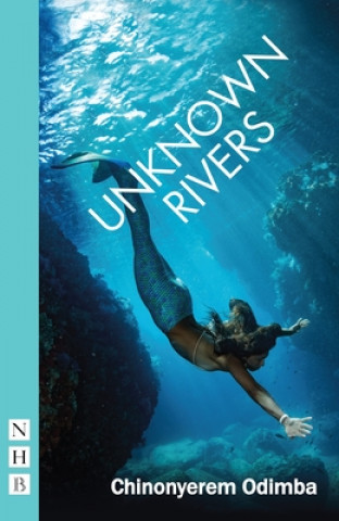 Knjiga Unknown Rivers Chinoyerem Odimba