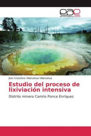 Книга Estudio del proceso de lixiviación intensiva 