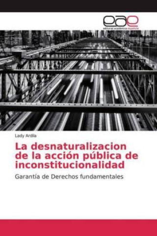 Buch La desnaturalizacion de la acción pública de inconstitucionalidad 