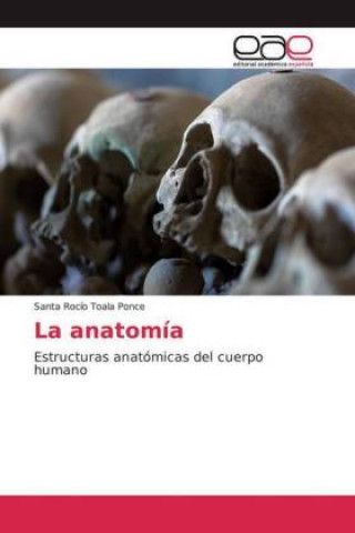 Könyv La anatomía 