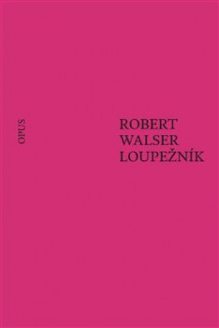 Könyv Loupežník Robert Walser