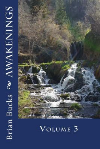 Knjiga Awakenings: Volume 3 Brian Bucks