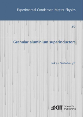 Könyv Granular aluminium superinductors 