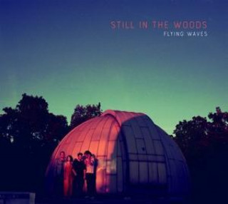 Audio Flying Waves 
