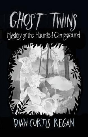 Kniha Ghost Twins: Mystery of the Haunted Campground 