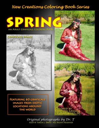 Kniha New Creations Coloring Book Series: Spring Teresa Davis