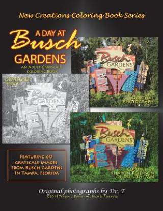 Kniha New Creations Coloring Book Series: A Day At Busch Gardens Teresa Davis