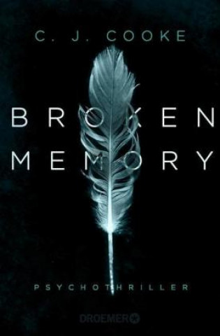 Kniha Broken Memory Susanne Wallbaum