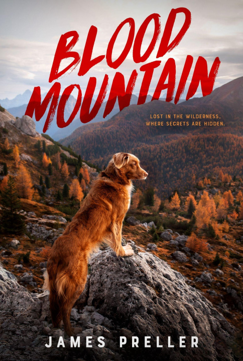 Buch Blood Mountain 