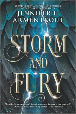 Książka Storm and Fury 