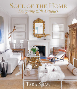 Book Soul of the Home: Designing with Antiques 