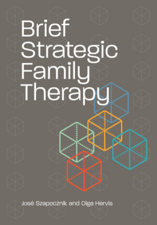 Kniha Brief Strategic Family Therapy Olga Hervis