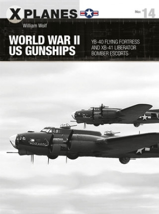 Kniha World War II US Gunships 