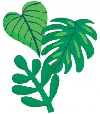 Könyv One World Tropical Leaves Cut-Outs 