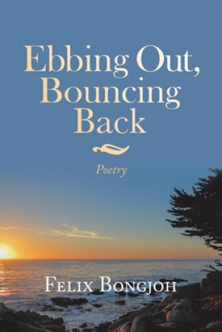 Kniha Ebbing Out, Bouncing Back 