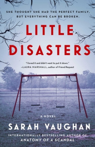 Boek Little Disasters Vaughan