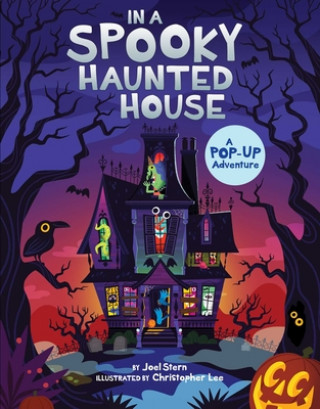 Book In a Spooky Haunted House: A Pop-Up Adventure Nancy Hall