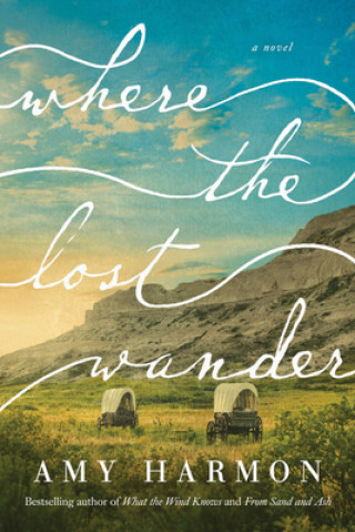 Carte Where the Lost Wander 