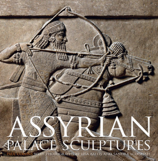 Kniha Assyrian Palace Sculptures Lisa Baylis