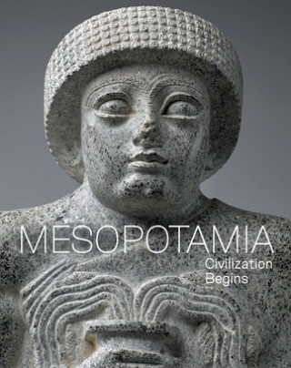 Kniha Mesopotamia - Civilization Begins Timothy Potts