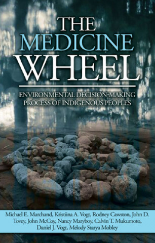 Kniha Medicine Wheel Kristiina A. Vogt