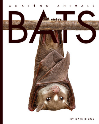 Knjiga Bats Valerie Bodden