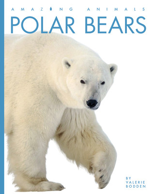 Knjiga Polar Bears Valerie Bodden