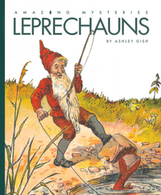 Kniha Leprechauns 