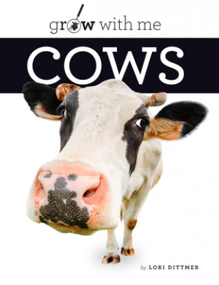 Carte Cows Quinn M. Arnold