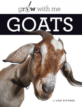 Carte Goats 