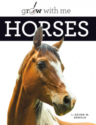 Libro Horses Quinn M. Arnold