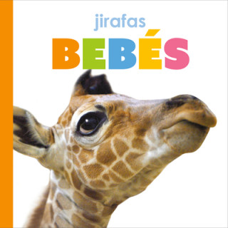 Kniha Jirafas Bebés 