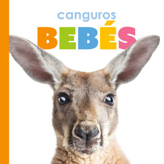 Könyv Canguros Bebés 