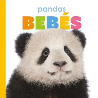 Buch Pandas Bebés 