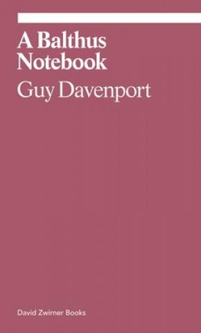 Libro Balthus Notebook DAVENPORT GUY