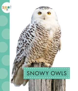 Kniha Snowy Owls 