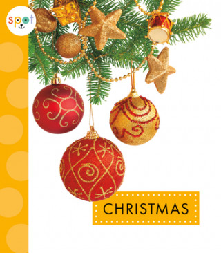 Knjiga Christmas Mari C. Schuh