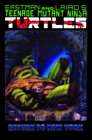 Kniha Teenage Mutant Ninja Turtles Color Classics, Volume 3 Peter Laird
